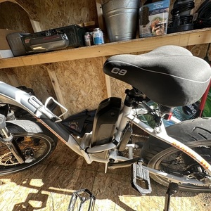 Rad Power Bikes Rad Mini White