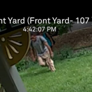 2020 Salsa Horsethief Blue