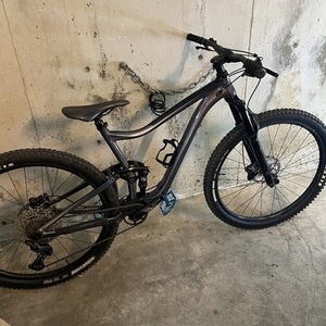 2021 Giant Trance 29 3 Silver, gray or bare metal