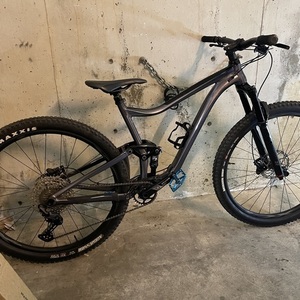 2021 Giant Trance 29 3 Silver, gray or bare metal