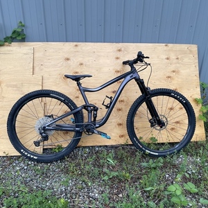 2021 Giant Trance 29 3 Silver, gray or bare metal