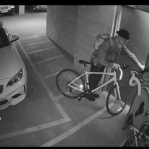 2016 Giant Alight White