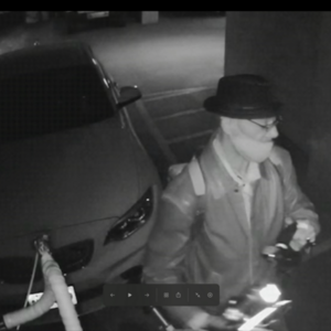 2016 Giant Alight White