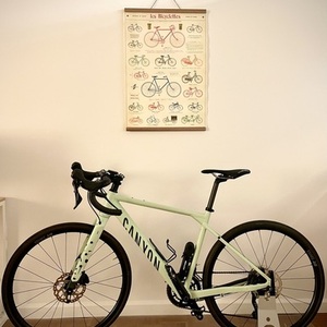 2022 Canyon bicycles Grizl 6 Green