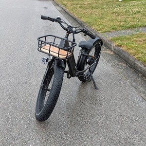 2022 Rad Power Bikes RadRover 6 Plus Step-Thru Black