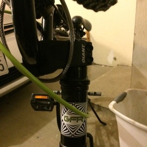 2010 Giant GFR FW (Bright Green) Green