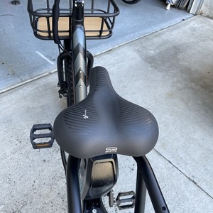 2021 Rad Power Bikes Rad Runner Black