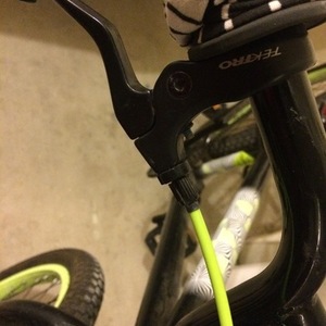 2010 Giant GFR FW (Bright Green) Green