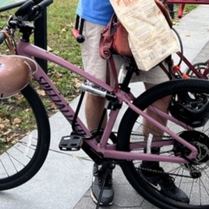 2021 Specialized Purple