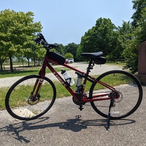 2021 Trek Verve 2 Red