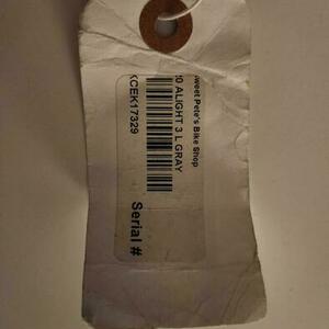 2019 Liv Silver, gray or bare metal and Purple