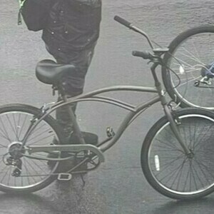 Lion's Bike Shop Golden Cruiser Classic Green