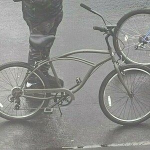 Lion's Bike Shop Golden Cruiser Classic Green