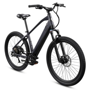 2023 Ride1Up LMTD Silver, gray or bare metal and Black