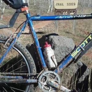 SCOTT Racing Blue and Yellow or Gold