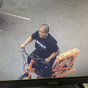 2019 Rad Power Bikes Radwagon 4 Orange