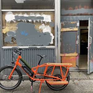 2019 Rad Power Bikes Radwagon 4 Orange