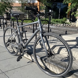 2020 Cannondale Quick 5 Silver, gray or bare metal