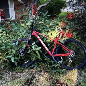 2023 Trek Marlin 5 gen 2 (XL) Red