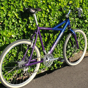 1994 Cannondale Delta V 500 Purple and Blue