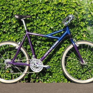 1994 Cannondale Delta V 500 Purple and Blue