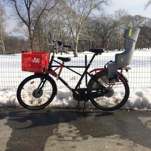 2013 WorkCycles Fr8 Blue and Red