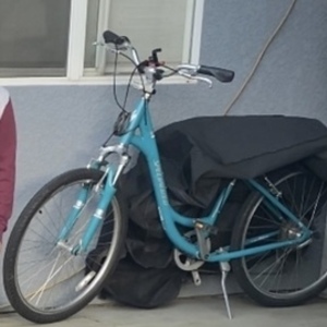 Specialized Teal