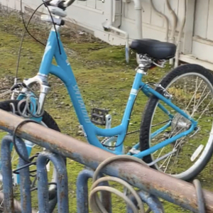 Specialized Teal