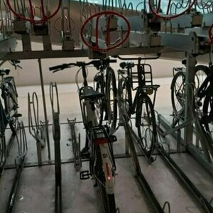 Cortina Cycles Mozzo Nx8 Belt Blue