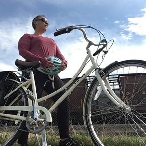 2014 Linus Dutch i 8speed White