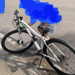 2016 Specialized Mountain White