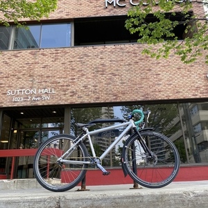 1994 Devinci Korrigan/hybrid, no paint Silver, gray or bare metal and Green