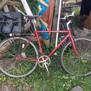 Peugeot Diamond Frame/Converted Single Speed Red