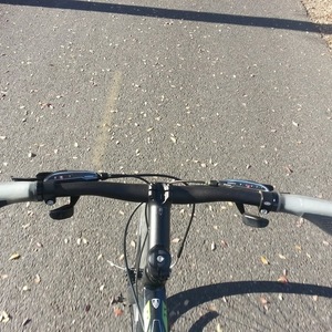 2013 Trek 7.3 FX Black and Green