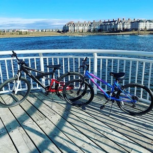 2021 Movelo hardtail steel frame Pink