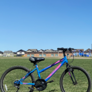 2021 Movelo hardtail steel frame Pink