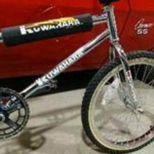 1983 Kuwahara Silver, gray or bare metal