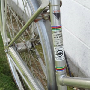 Panasonic Tourist Silver or Gray