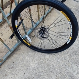 Schwinn GTX Elite Black, Yellow or Gold, and White