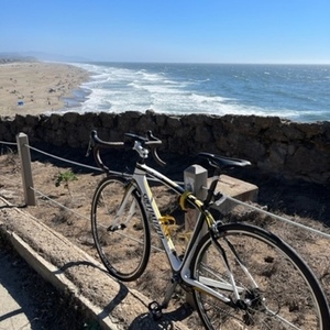 2012 Specialized Roubaix Compact White, Yellow or Gold, and Black