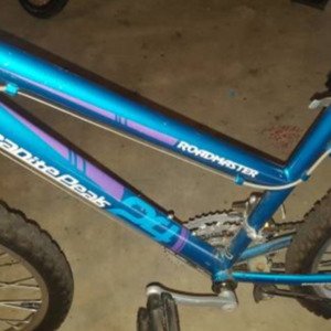 Roadmaster Granite/Mountain bike Blue