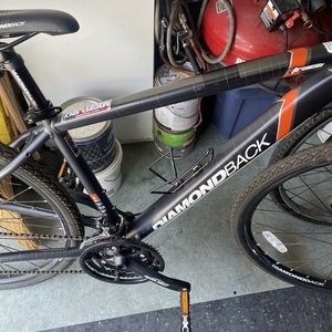 Diamondback Silver, gray or bare metal