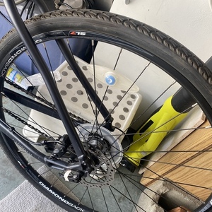 Diamondback Silver, gray or bare metal