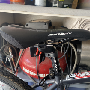 Diamondback Silver, gray or bare metal