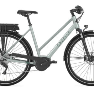 Gazelle Step through Green