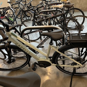 Gazelle Step through Green