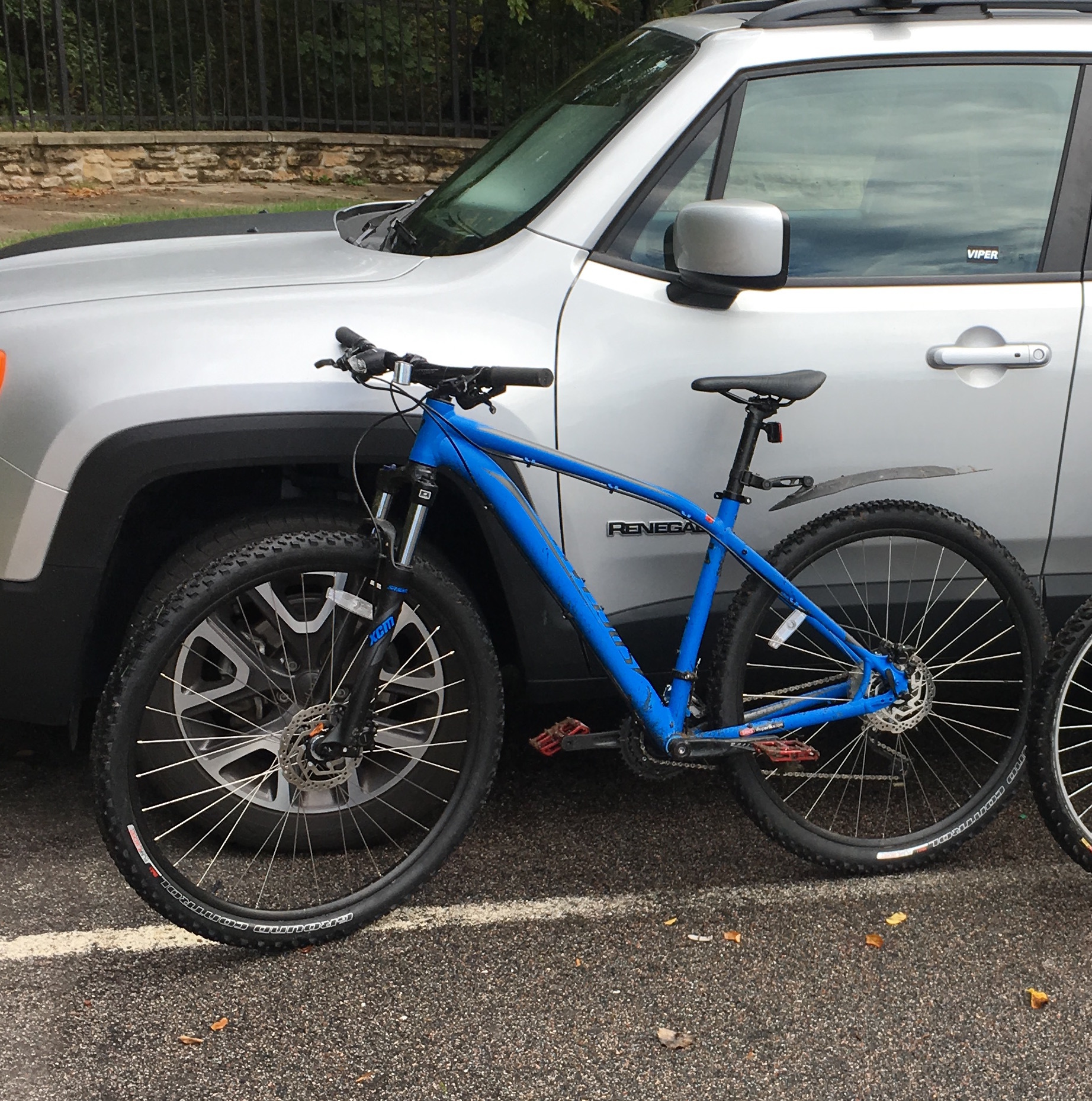 specialized rock hopper blue