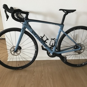 2019 Specialized Blue