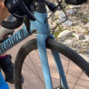 2019 Specialized Roubaix Blue