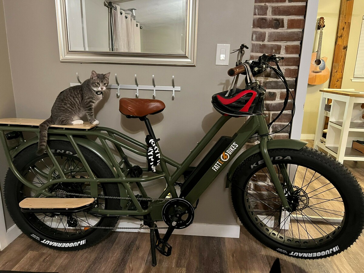 Cargo Bike Rear photo